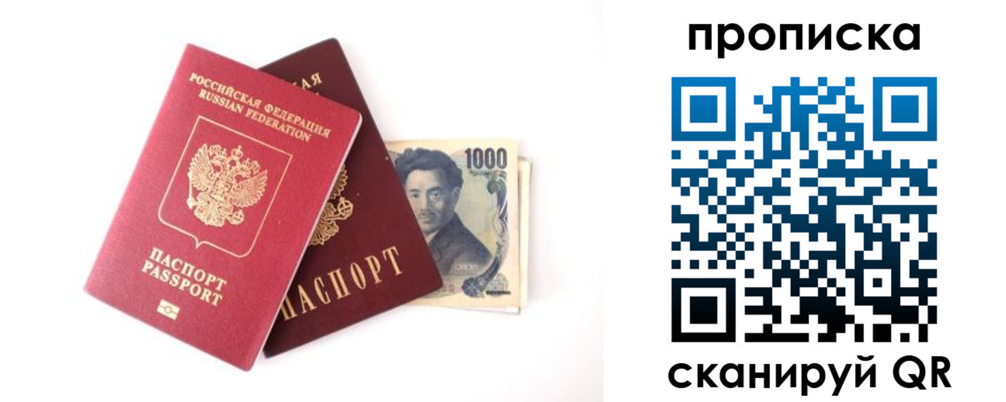 прописка в квартире в Ленинградской области